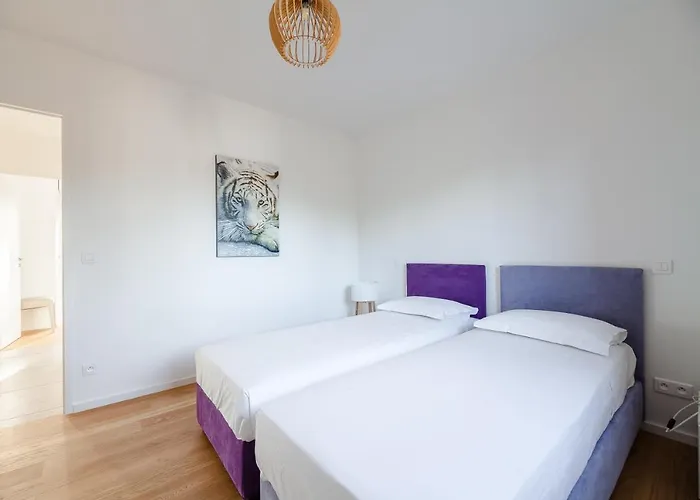 Di Sogni - D'archi, 8 Pax, Pisc Chauffee Gialla